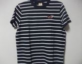 Hollister HC10