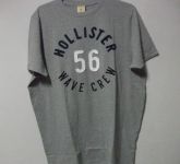Hollister HC15