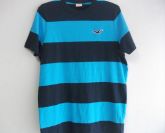 Hollister HC12